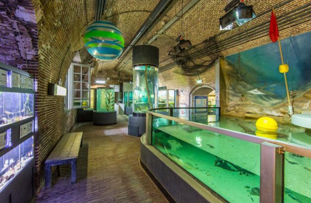 Huisduinen_Fort_Kijkduin_Aquarium