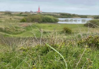 zilt7-uitstaptexel2